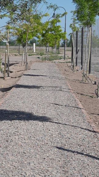 Casa en Venta en San Martin, Mendoza
