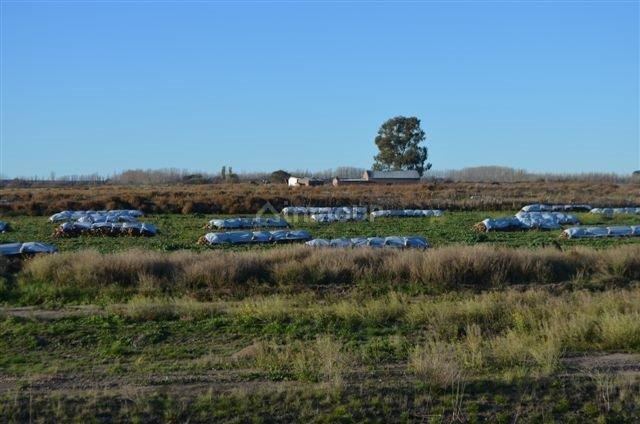 Campo en Venta en Conesa, Rio Negro