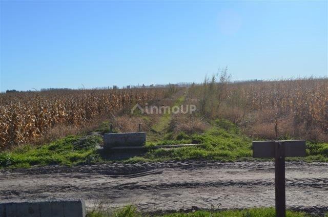 Campo en Venta en Conesa, Rio Negro
