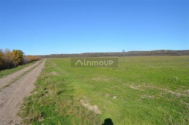 Campo en Venta en Conesa, Rio Negro