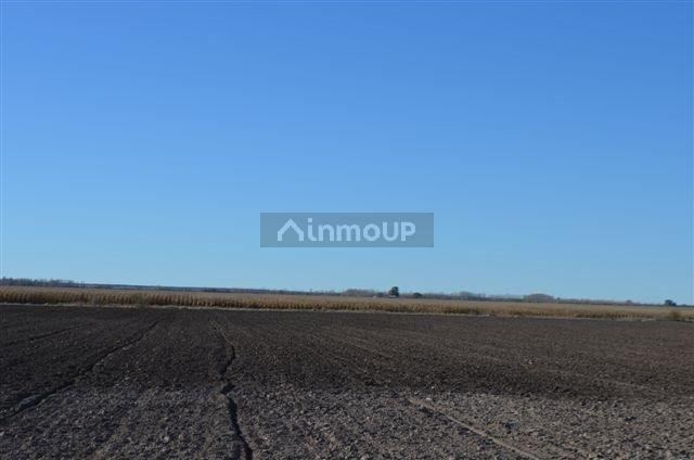 Campo en Venta en Conesa, Rio Negro