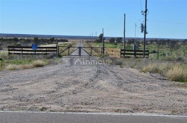 Campo en Venta en Conesa, Rio Negro