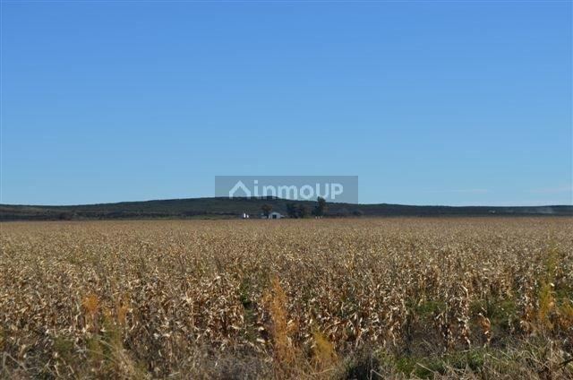 Campo en Venta en Conesa, Rio Negro