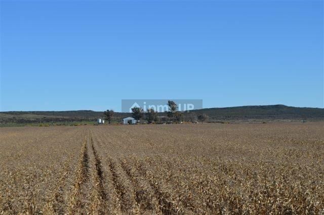 Campo en Venta en Conesa, Rio Negro