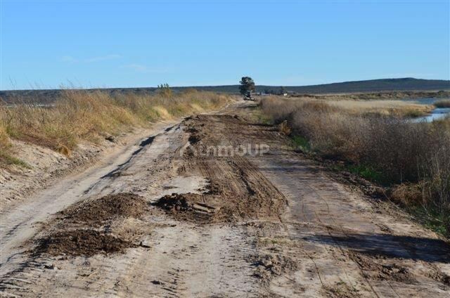 Campo en Venta en Conesa, Rio Negro