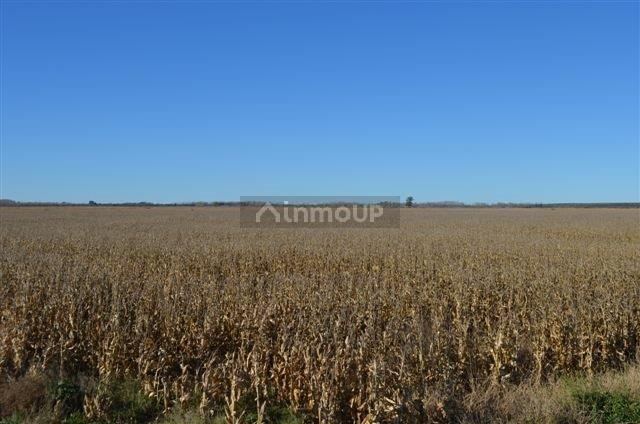 Campo en Venta en Conesa, Rio Negro