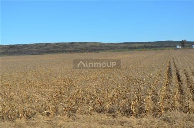 Campo en Venta en Conesa, Rio Negro