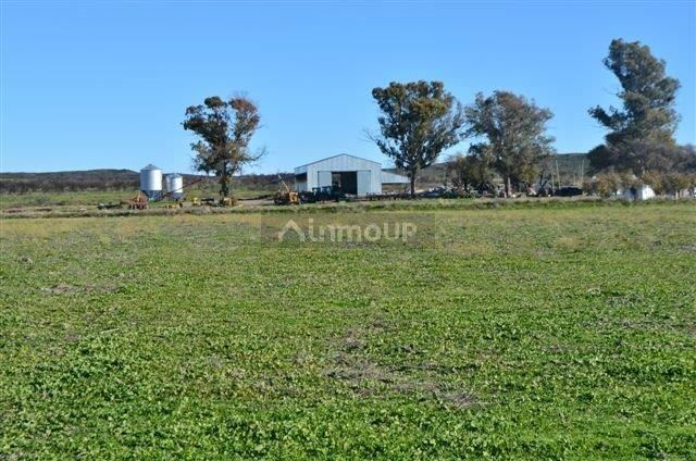 Campo en Venta en Conesa, Rio Negro