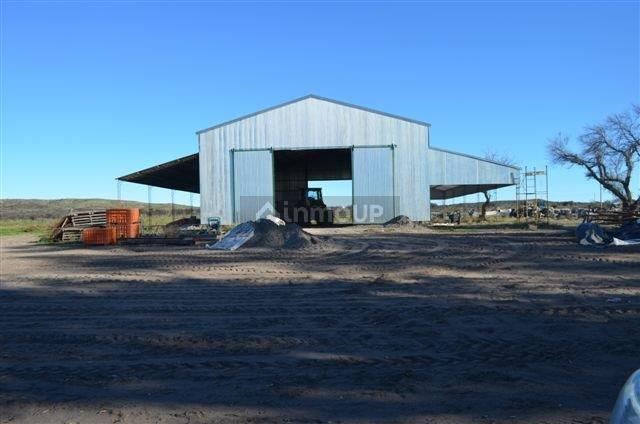 Campo en Venta en Conesa, Rio Negro