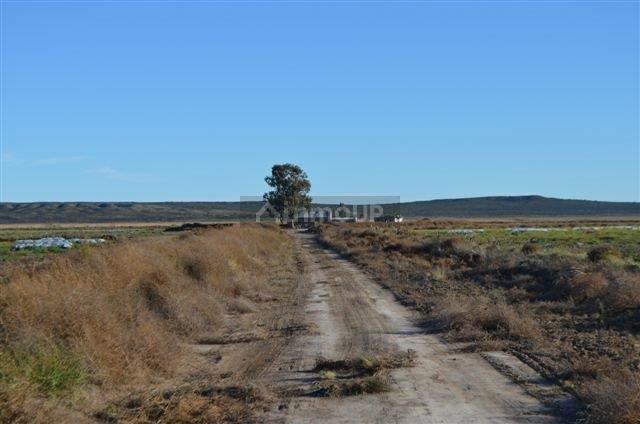 Campo en Venta en Conesa, Rio Negro