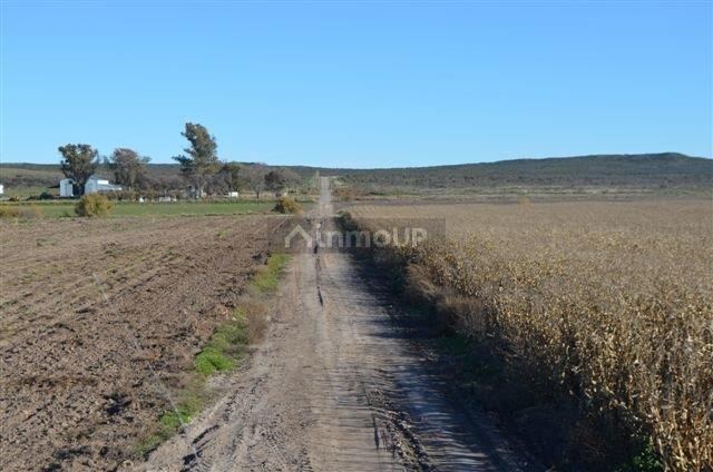 Campo en Venta en Conesa, Rio Negro
