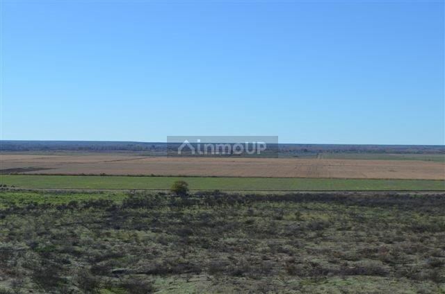 Campo en Venta en Conesa, Rio Negro