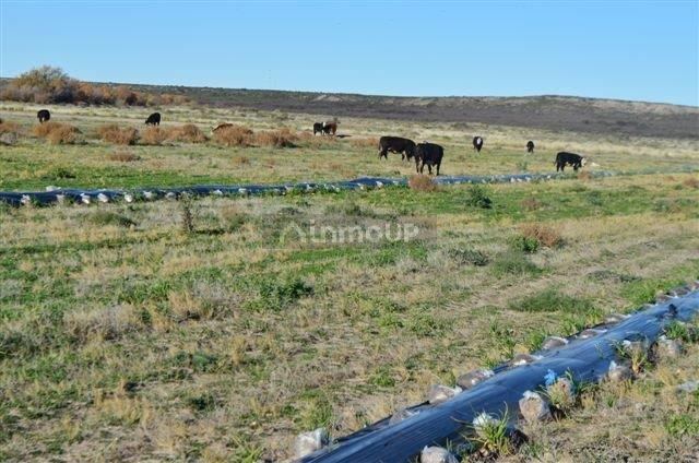 Campo en Venta en Conesa, Rio Negro