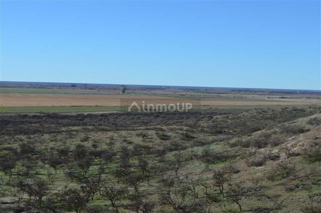 Campo en Venta en Conesa, Rio Negro