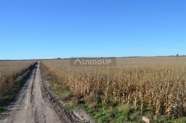 Campo en Venta en Conesa, Rio Negro