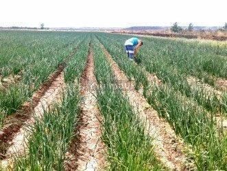 Campo en Venta en Conesa, Rio Negro