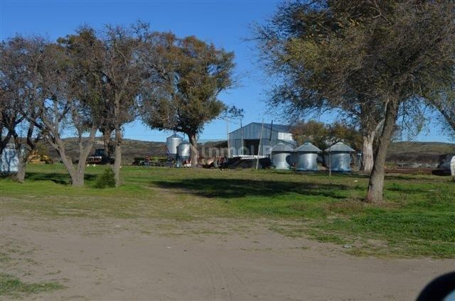 Campo en Venta en Conesa, Rio Negro