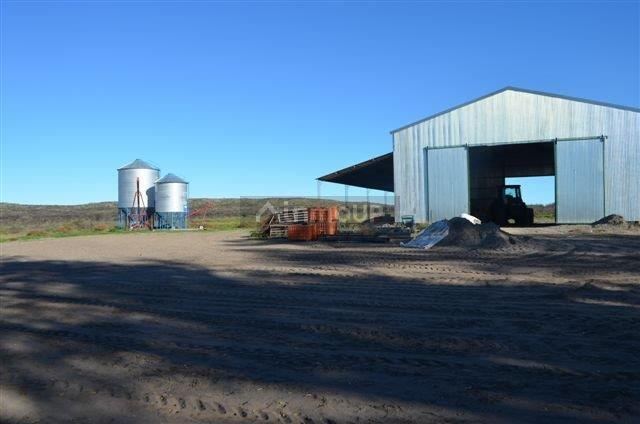 Campo en Venta en Conesa, Rio Negro