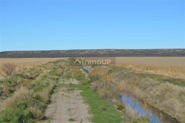 Campo en Venta en Conesa, Rio Negro