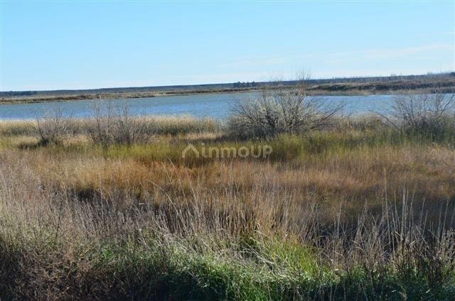 Campo en Venta en Conesa, Rio Negro