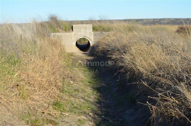 Campo en Venta en Conesa, Rio Negro