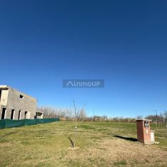Tigre Santa Ana, Villa Nueva