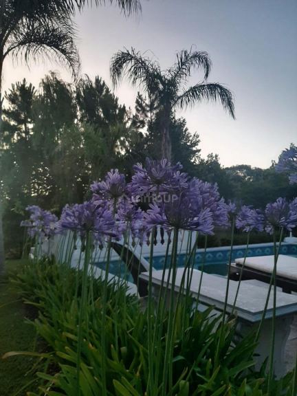 Casa en Alquiler en Tigre, G.B.A. Zona Norte