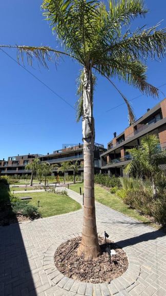 Departamento en Venta en Tigre, G.B.A. Zona Norte