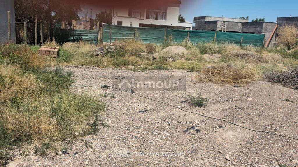 Lote en Venta en Lujan de Cuyo, Mendoza