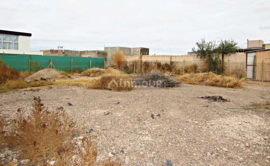 Lote en Venta en Lujan de Cuyo, Mendoza