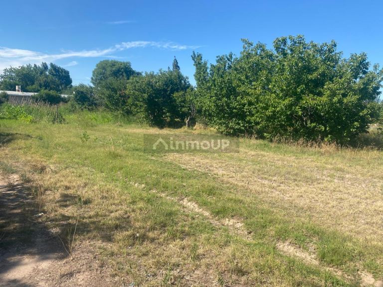 Lote en Venta en Lujan de Cuyo, Mendoza