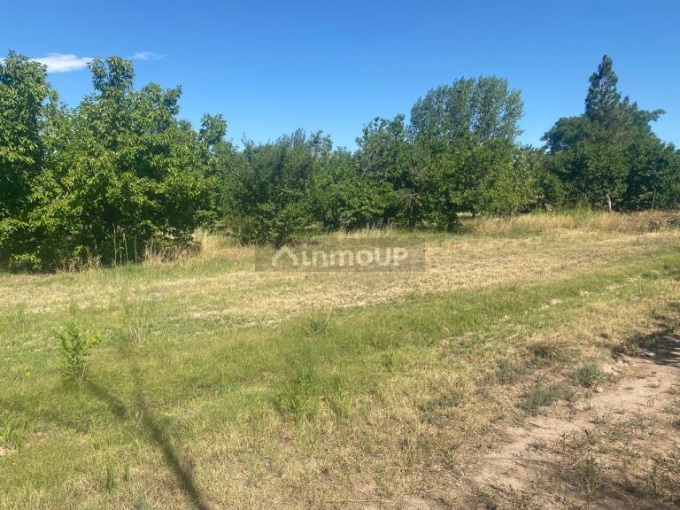 Lote en Venta en Lujan de Cuyo, Mendoza