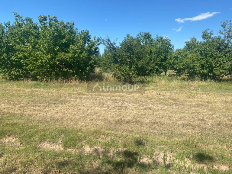 Lote en Venta en Lujan de Cuyo, Mendoza