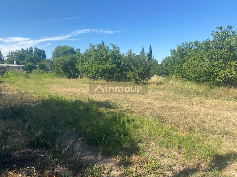 Lote en Venta en Lujan de Cuyo, Mendoza