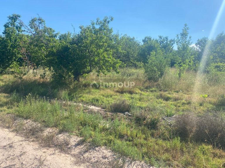 Lote en Venta en Lujan de Cuyo, Mendoza