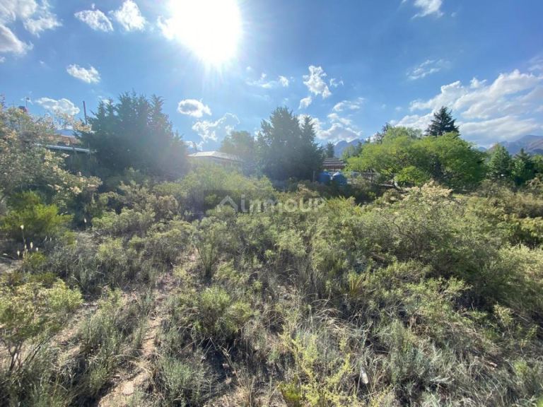 Lote en Venta en Lujan de Cuyo, Mendoza