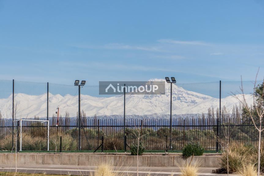 Lote en Venta en Lujan de Cuyo, Mendoza