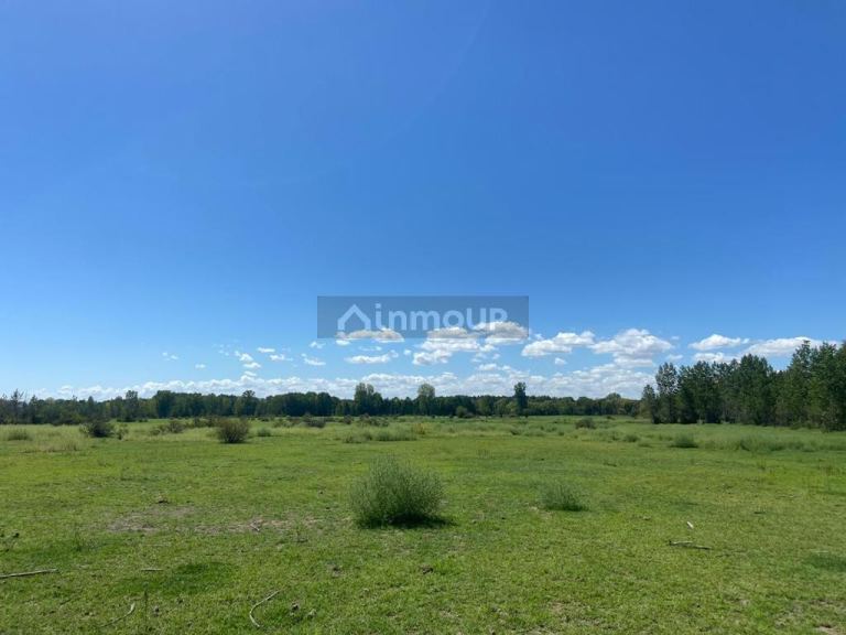 Campo en Venta en Tunuyan, Mendoza