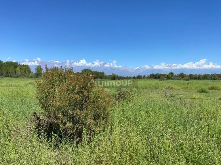 Campo en Venta en Tunuyan, Mendoza