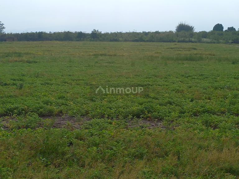 Terreno en Venta en Tafi viejo, Tucuman