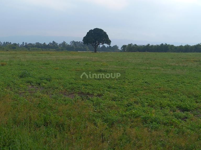 Terreno en Venta en Tafi viejo, Tucuman