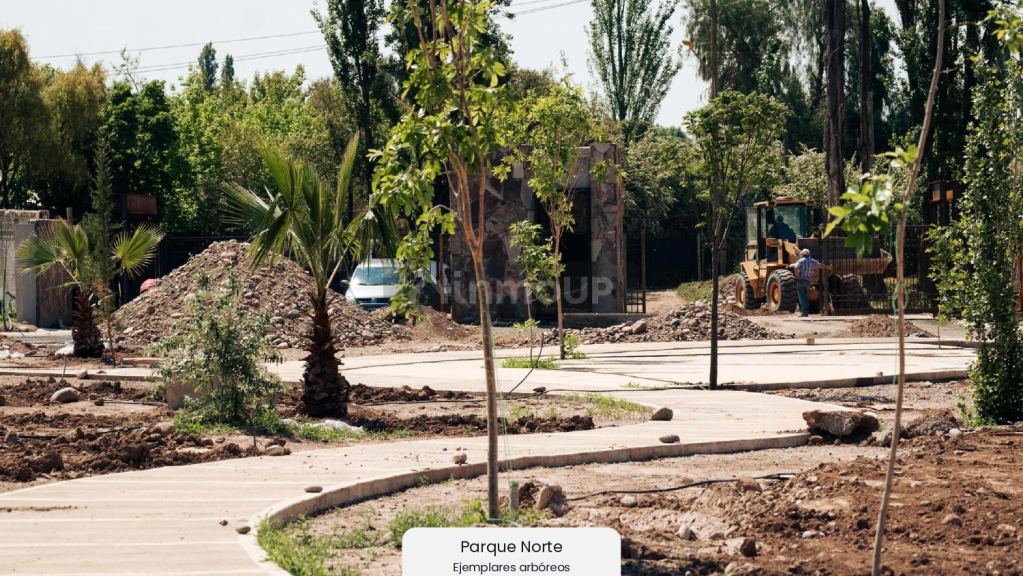 Lote en Venta en Lujan de Cuyo, Mendoza