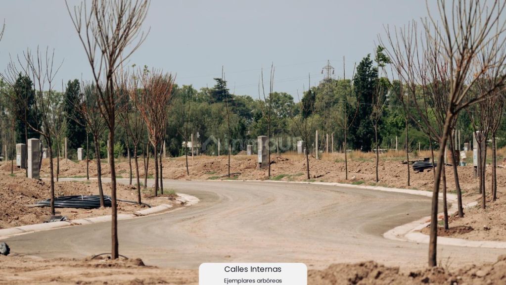 Lote en Venta en Lujan de Cuyo, Mendoza