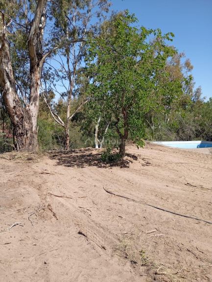 Terreno en Venta en Lujan de Cuyo, Mendoza