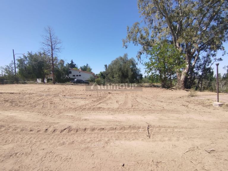 Terreno en Venta en Lujan de Cuyo, Mendoza