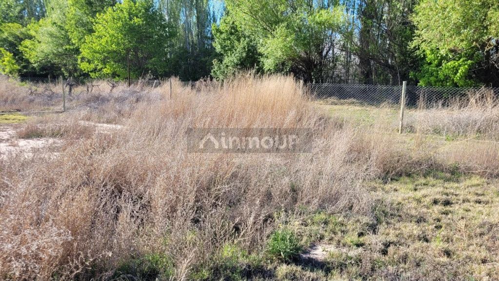 Lote en Venta en Lujan de Cuyo, Mendoza