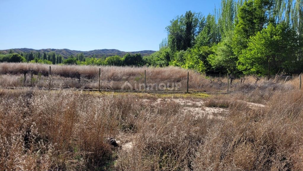 Lote en Venta en Lujan de Cuyo, Mendoza