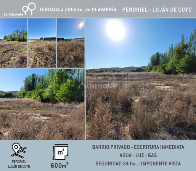Lote en Venta en Lujan de Cuyo, Mendoza