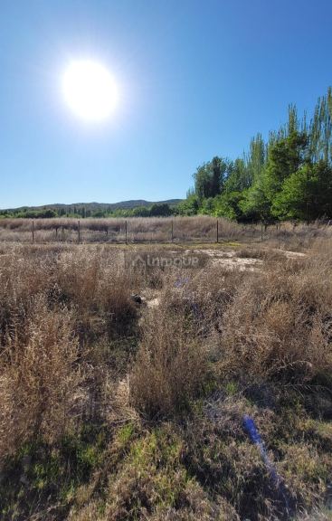 Lote en Venta en Lujan de Cuyo, Mendoza