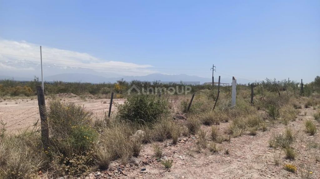 Terreno en Alquiler en Lujan de Cuyo, Mendoza